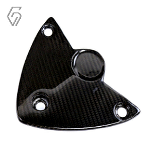 Carbon Fiber Cover plate for BMW S1000RR