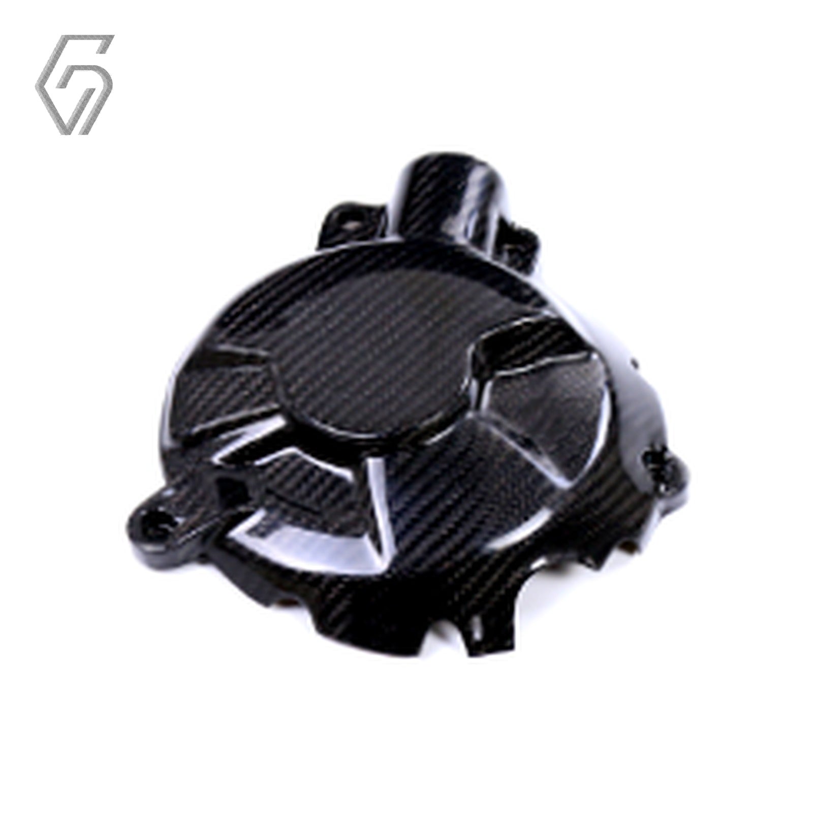 Carbon Fiber Engine cover for BMW S1000RR