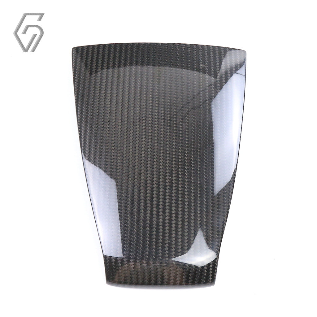 Carbon Fiber Tail Cover for Harley Sportster S 2021+