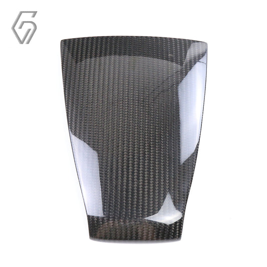 Carbon Fiber Tail Cover for Harley Sportster S 2021+
